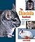 The Chinchilla Handbook