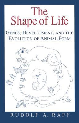 The Shape of Life: Genes, Development, and the Evolution of Animal Form