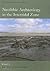 Neolithic Archaeology in the Intertidal Zone (Neolithic Studies Group Seminar Papers)