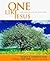One Like Jesus: Conversatio...
