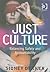 Just Culture: Balancing Safety and Accountability