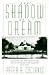 The Shadow of a Dream: Econ...