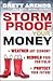 Storm Proof Your Money: Wea...