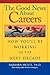 The Good News About Careers by Barbara Moses