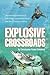 Explosive Crossroads: The Continuing Adventures of Luke Dodge, a Young Man Whose Nine Lives All Belong to the Sea