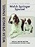 Welsh Springer Spaniel