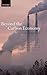 Beyond the Carbon Economy