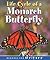 Life Cycle of A Monarch Butterfly (Readers For Writers - Fluent)