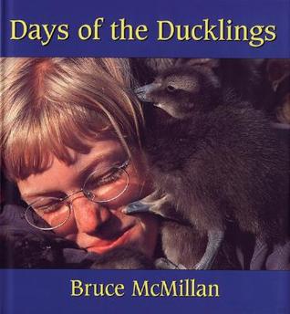 Days of the Ducklings (Paperback)