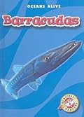 Barracudas