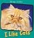 I Like Cats (Things I Like)