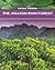 The Amazon Rain Forest: The Largest Rain Forest in the World (Natural Wonders)