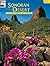 Sonoran Desert: The Story Behind the Scenery