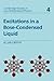Excitations in a Bose-condensed Liquid (Cambridge Studies in Low Temperature Physics, Series Number 4)