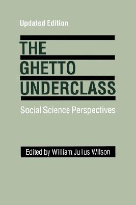 The Ghetto Underclass: Social Science Perspectives, Updated Edition (Paperback)