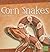 Corn Snakes (First Facts, Snakes)