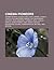 Cinema Pioneers: Thomas Edison, Auguste and Louis Lumiere, Charlie Chaplin, William Friese-Greene, William Kennedy Dickson, John Grierson