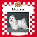 Maltese