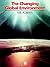 The Changing Global Environ...