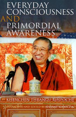 Everyday Consciousness and Primordial Awareness (Hardcover)