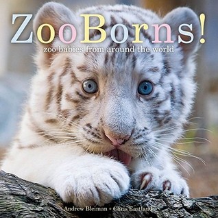 ZooBorns!: Zoo Babies from Around the World (Hardcover)