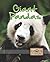 Giant Pandas (Eye To Eye With Endangered Species)