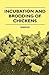 Incubation and Brooding of Chickens