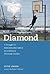 Diamond: A Struggle For Env...