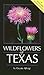 Wildflowers of Texas
