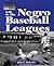 Life in the Negro Baseball Leagues (The Way People Live)