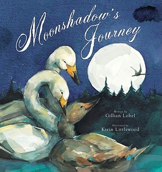 Moonshadow's Journey (Hardcover)