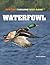Waterfowl (Hunting: Pursuing Wild Game!)