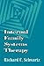 Internal Family Systems Therapy by Richard C. Schwartz