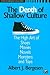 Depth of Shallow Culture: The High Art of Shoes, Movies, Novels, Monsters, and Toys (Studies in Comparative Social Science)
