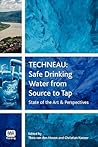 Techneau: Safe Drinking Water from Source to Tap: State-of-art & Perspectives