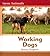 Working Dogs