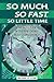 So Much, So Fast, So Little Time by Michael St. Clair