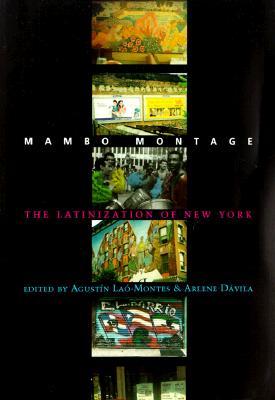 Mambo Montage: The Latinization of New York (Paperback)