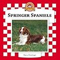Springer Spaniels