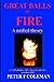 Great Balls of Fire-A unifi...