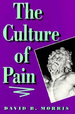 The Culture of Pain (Paperback)