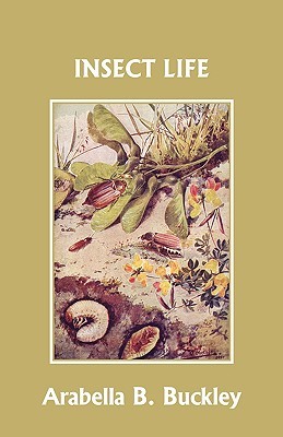 Insect Life (Paperback)