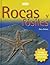 Rocas Y Fosiles/ Rocks and Fossils (Introductions to Science) (Spanish Edition)