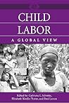 Child Labor: A Global View (A World View of Social Issues)