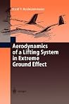 Aerodynamics of a Lifting System in Extreme Ground Effect
