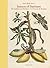 Maria Sibylla Merian: Insec...