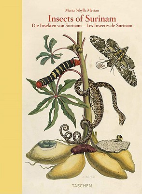 Maria Sibylla Merian: Insects of Surinam (Hardcover)