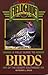 Field Guide to Birds of the Desert Southwest (The Geological Field Guide Series)