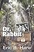 Dr. Rabbit