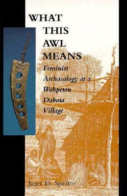 What This Awl Means: Feminist Archaeology at a Wahpeton Dakota Village (Paperback)